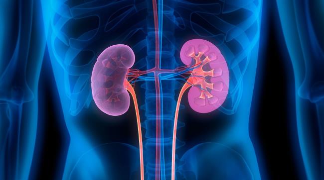 53-facts-about-chronic-renal-failure-facts-net